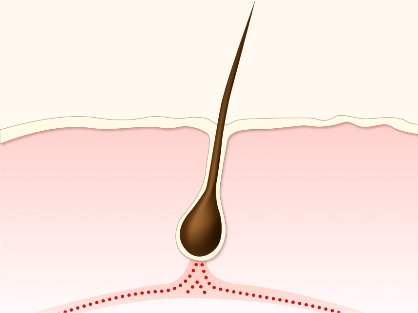 Hair Loss Treatment for Men Hair Loss Products for Men